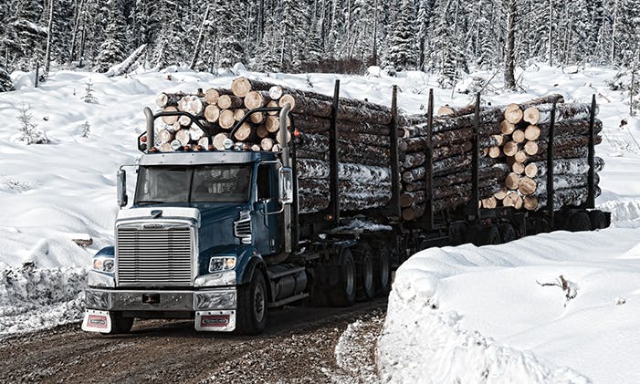 122sd-logging-2-trailer-500x300.jpg